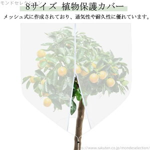 yz_ Ap hlbg |plbg ؍͔| Aی  AیJo[ hlbg Wbp[t x_ DIY ʎ