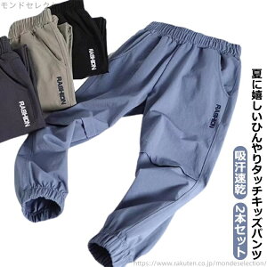 yzJWApc  2{Zbg ڐG⊴ Ђ WjA j̎q  t z C[W[pc LbY w 