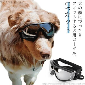 yz ybgpS[O h pS[O O΍ ho uvJbg h XL[ ^ ی상Kl TOX ~ ^