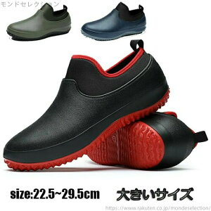 yzY fB[X jp Sh ~ V[gu[c h  ~J΍ _炩 ނ