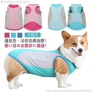 yz^Ngbv ^ ĕ  CM p u Ђ ⊴ bV G炷  G炵 EFA N[  