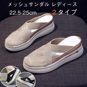 yzʋC ԕ 6cm ItBX  r[`T_ r y ₷ ₷ bV [X fB[X Xj[J[