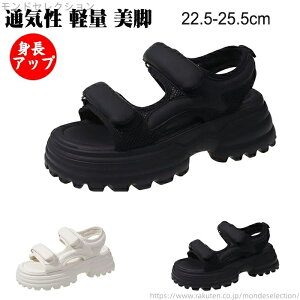 yzfB[X T_ Xj[J[T_ xN X|[cT_ fB[X T_  X|T 