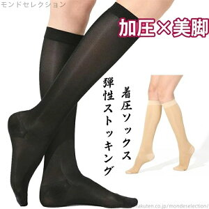 yzXgbLO G  23-31hPa  T|[^[ ӂ͂ ⊴  ϋv Sn iK r eXgbLO