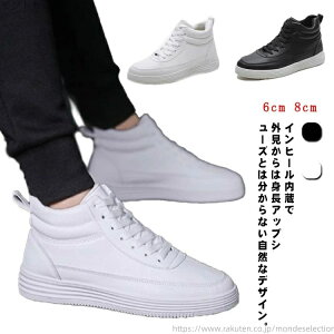 yz Cq[V[Y V[Nbg [XAbv Cq[Xj[J[ Y fB[X  ubN Xj[J[