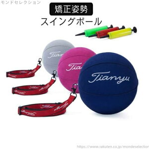 yzP p XCO{[  O XCOK fU 򋗗Abv LfB[{[ g[jO{[ XCOp