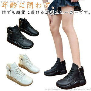 yzN TChWbp[ ₷ g  V[gu[c fB[X RtH[gV[Y fB[X Xj[J[