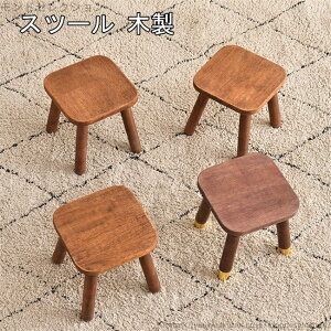 yzrO  ~j`FA  RpNg | VR lp `FA CX  ֎q i k ؐ ʍ24.5cm