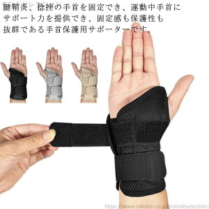 yzjp  ֐߃T|[^[ F≊  E p ؃g ejX X|[c Œ  Ă T|[^[