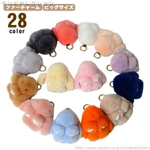 yzrbOTCY obO`[ t@[ 10cm v[g l  L[z_[ At@[ `[ fB[X 