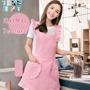 yzs[X fB[X vZX hX V[g t [X NXR { Ȃ |Pbg  i  ۈm H