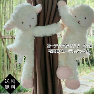 yzJ[eANZT[ 2 r k ʂ J[eߏ  ANZT[ 