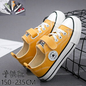 yzWjAXj[J[ j̎q ̎q ^C ʉ ʊw ct w w ^ ₷ ʊwC 􂦂C\[ qǂ a v[g