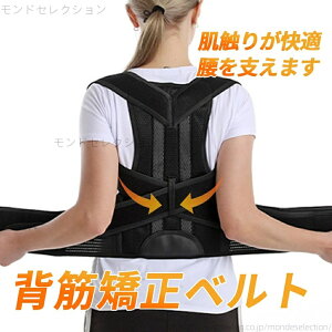 yzp l q K ʋC p Lwxg w؋xg