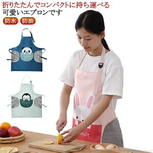 yz p_  yM ӂ^Cv @ |Pbg h h JtF Gv ct  Y