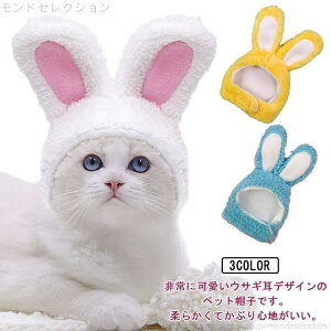 yzL ETM̖Xq  Ԃ 3F ^ x nEB gCv[h ` |jA ViEU[ N