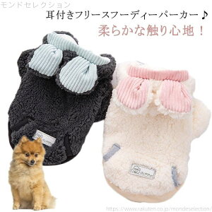 yzt[fB[t p[J[ t[fB[p[J[ t[X {A p[J[  hbOEFA N   nEB z