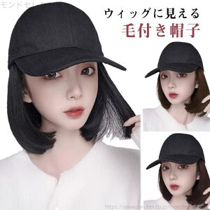 yzV[gwA XqtEBbO ̎ XqtEBbO R nEB ig  ϑ  ×p ΂Ȃ