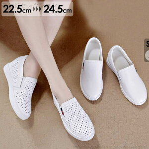 yzfB[X ʋC  Cq[ EFbW\[ q[6cm Ƃ zCg i Xb| Xj[J[  H