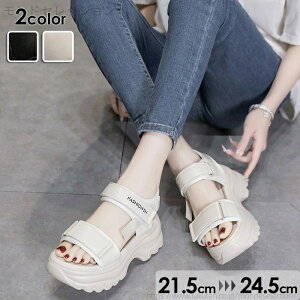 yzX|[cT_  fB[X 킢 IV r 傫TCY TCY q[6.5cm W[p ][g