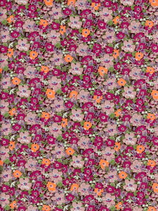 LIBERTYリバティプリント2023年ネオンリバティ(春夏柄)Archie Neon(アーキーネオン)オレンジ&ピンクDC32680-J23D