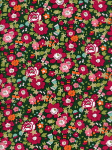 nLIBERTYFABRICS LIBERTYoeBvg Betsy StarixbcBX^[)O[ 2023NNX}X36368406-CT
