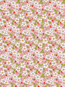 ���nLIBERTY FABRICS �i���n�M���Z�[���iLIBERTYPaysanne Blossom(�y�C�U���k�E�u���b�T�� )�s���N�C�^���A2024�N�t�ĕ�3634121-24AU60cm