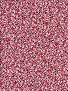 LIBERTYoeBvgAbasan Spot(AoTEX|bg)bh110cmDC33571-YE