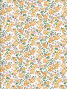 LIBERTYC^AI[KjbN^i[nNorfolk Garden(m[tH[NEK[f )IW2024Ntĕ157J908-BU