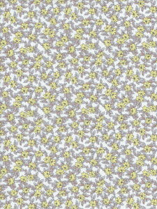 LIBERTYC^AI[KjbN^i[nKayfs Meadow(PCYEhD)CG[2025NH~157J934-25BU