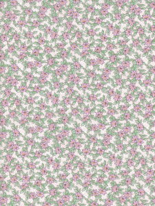 LIBERTYC^AI[KjbN^i[nKayfs Meadow(PCYEhD)sN