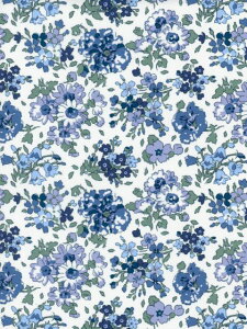 LIBERTYC^AI[KjbN^i[nSky Lune(XJCE[ )lCr[2025NH~157J925-25BU