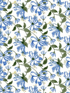 LIBERTYC^A^i[nHoneysuckle Dance(nj[TbNE_X)u[Y2024NH~JbgNX3634233-24CU