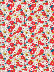 nLIBERTYFABRICS LIBERTYoeBvOliviaiIrAjbh3634253P-J24A2024NNX}X