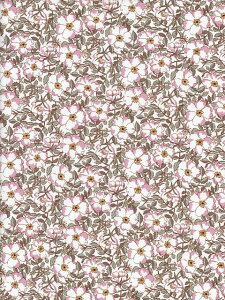 LIBERTYYoeBMay Morris (CXjG^[i110cmЃsN19-1229214-YE