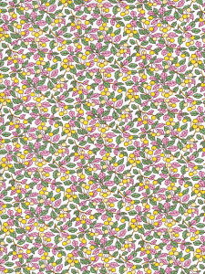 LIBERTYC^A^i[nColleen's Orchard(R[YEI[`[h )sN2025Ntĕ3635125-25AU2025SS RETOLD 150TH ANNIVERSARY COLLECTION