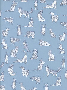 LIBERTYoeBvgMeowi~IEj2025NVG^[iu[DC32576-ZE