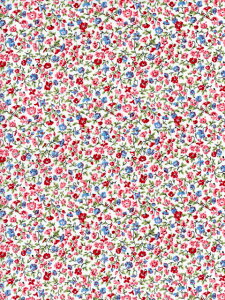 LIBERTYoeBvgPosy Meadow(|DW[EhEj}RNVbhDC34895-J25A