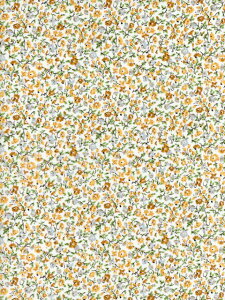 LIBERTYoeBvgPosy Meadow(|DW[EhEj}RNVCG[DC34895-J25C