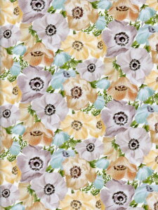 inMZ[iLIBERTYShropshire ValeiVbvV[EFCjx[WDC30110-J19B60cm