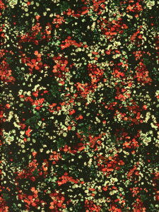 LIBERTYinMZ[iReflections(tNVY)bhY2021NH~ǉDC31454-B60cm
