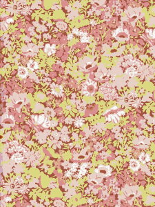 ���nLIBERTY FABRICS LIBERTY���o�e�B�v�����g2025AW Neon SplashThorpe(�\�[�v)�C�G���[�l�I��×�s���N3639005GN-J25B