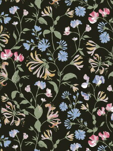 LIBERTYC^A^i[nAsaka Dream(ATJEh[ )ubN363J75905-25CU2025AW Decades in Bloom