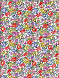 LIBERTYYoeBHoneydew(nj[f[jbhG^[i3633189-CE