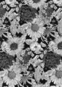 LIBERTYリバティプリントSwim Dunclare(スイム・ダンクレア)5672151-STE110cm巾ブラック