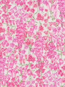 LIBETTYAoeB2015NtĕBirkbeckio[NxbNjJbgNX30cm×30cmsN