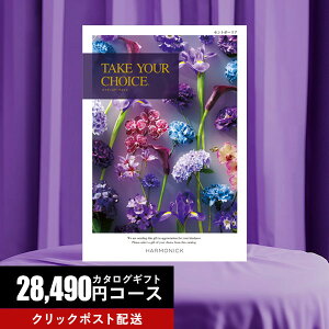 J^OMtg |Cg20{  J^OMtg eCNEAE`CX Zg|[A 28490~R[X yoYj  @o j Cj Ԃ TԂ 