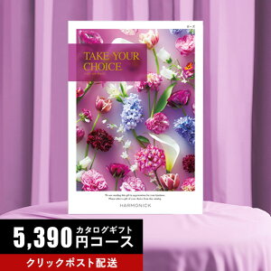 Gg[P10{ J^OMtg eCNEAE`CX [Y 5390R[X yoYj  @o j Cj Ԃ TԂ  Ε Nz