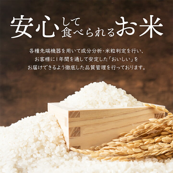楽天市場】茨城県産 令和7年産 白米 特別栽培米 コシヒカリ 5kg 10kg 