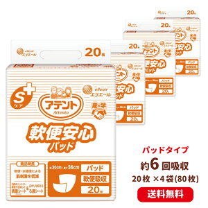 大王製紙 アテントSケア 軟便安心パッド 20枚 4袋 エリエール 病院施設用 業務用 軟便パッド 送料無料 まとめ買い お得 介護用品 オムツ 介護おむつ 紙おむつ 失禁用品 軟便パット